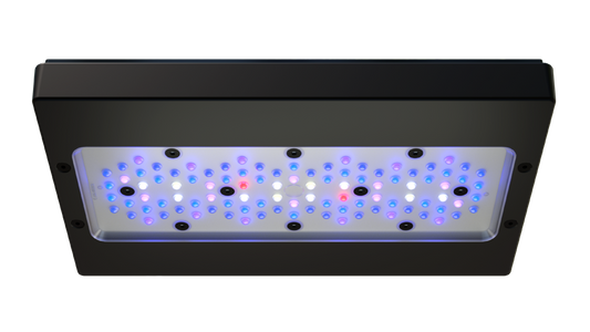 EcoTech Marine Radion XR30 G6 Blue LED Light Fixture - Exotic Reefs of NJ