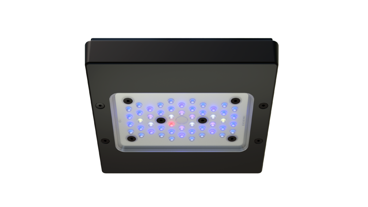 EcoTech Marine Radion XR15 G6 Blue LED Light Fixture - Exotic Reefs of NJ