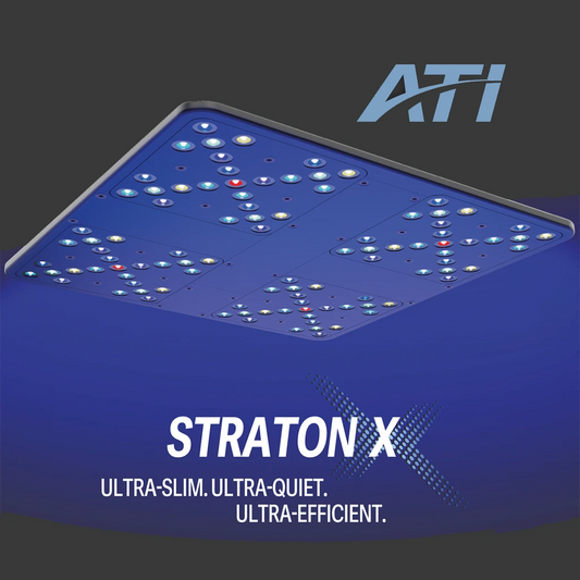 ATI Straton X Flat Panel LED Light - Anthracite Gray ***PRE-ORDER***