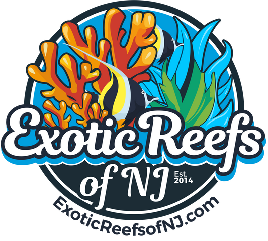 Exotic Reefs of NJ Gift Card