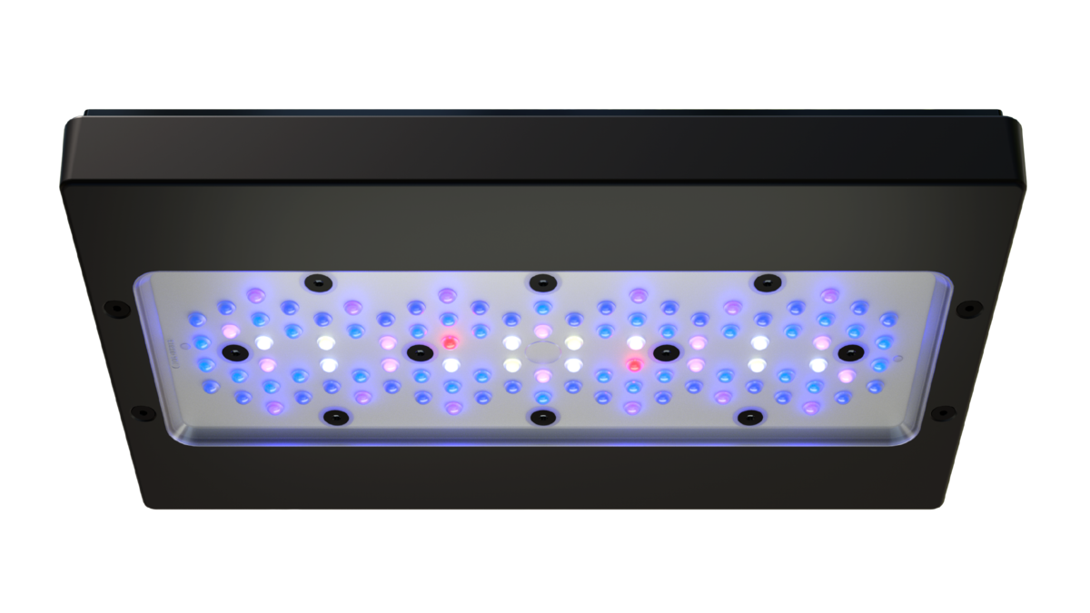 EcoTech Marine Radion XR30 G6 Blue LED Light Fixture - Exotic Reefs of NJ